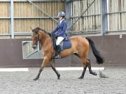 Image 144 in DRESSAGE AT WORLD HORSE WELFARE. 7TH SEPTEMBER 2019