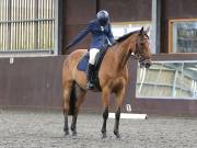 Image 147 in DRESSAGE AT WORLD HORSE WELFARE. 7TH SEPTEMBER 2019