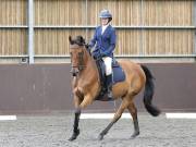 Image 150 in DRESSAGE AT WORLD HORSE WELFARE. 7TH SEPTEMBER 2019