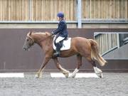 Image 27 in DRESSAGE AT WORLD HORSE WELFARE. 7TH SEPTEMBER 2019