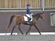 Image 3 in DRESSAGE AT WORLD HORSE WELFARE. 7TH SEPTEMBER 2019