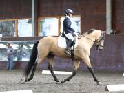 Image 60 in DRESSAGE AT WORLD HORSE WELFARE. 7TH SEPTEMBER 2019