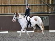 Image 88 in DRESSAGE AT WORLD HORSE WELFARE. 7TH SEPTEMBER 2019