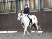 Image 89 in DRESSAGE AT WORLD HORSE WELFARE. 7TH SEPTEMBER 2019