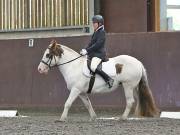 Image 92 in DRESSAGE AT WORLD HORSE WELFARE. 7TH SEPTEMBER 2019