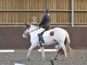 Image 93 in DRESSAGE AT WORLD HORSE WELFARE. 7TH SEPTEMBER 2019