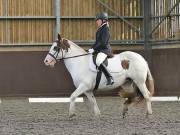 Image 94 in DRESSAGE AT WORLD HORSE WELFARE. 7TH SEPTEMBER 2019