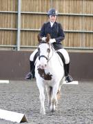 Image 96 in DRESSAGE AT WORLD HORSE WELFARE. 7TH SEPTEMBER 2019