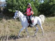 ANGLIAN DISTANCE RIDERS. LITTLE LODGE. 15TH SEPTEMBER 2019