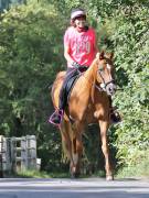 Image 100 in ANGLIAN DISTANCE RIDERS. LITTLE LODGE. 15TH SEPTEMBER 2019