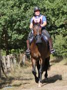 Image 105 in ANGLIAN DISTANCE RIDERS. LITTLE LODGE. 15TH SEPTEMBER 2019