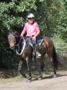 Image 106 in ANGLIAN DISTANCE RIDERS. LITTLE LODGE. 15TH SEPTEMBER 2019