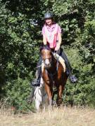 Image 107 in ANGLIAN DISTANCE RIDERS. LITTLE LODGE. 15TH SEPTEMBER 2019