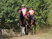 Image 111 in ANGLIAN DISTANCE RIDERS. LITTLE LODGE. 15TH SEPTEMBER 2019