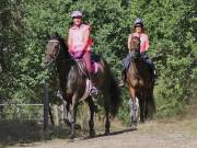 Image 113 in ANGLIAN DISTANCE RIDERS. LITTLE LODGE. 15TH SEPTEMBER 2019