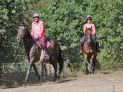 Image 114 in ANGLIAN DISTANCE RIDERS. LITTLE LODGE. 15TH SEPTEMBER 2019