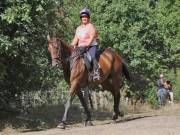 Image 115 in ANGLIAN DISTANCE RIDERS. LITTLE LODGE. 15TH SEPTEMBER 2019