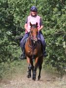 Image 119 in ANGLIAN DISTANCE RIDERS. LITTLE LODGE. 15TH SEPTEMBER 2019