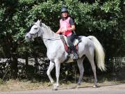 Image 120 in ANGLIAN DISTANCE RIDERS. LITTLE LODGE. 15TH SEPTEMBER 2019