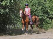 Image 122 in ANGLIAN DISTANCE RIDERS. LITTLE LODGE. 15TH SEPTEMBER 2019