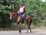 Image 123 in ANGLIAN DISTANCE RIDERS. LITTLE LODGE. 15TH SEPTEMBER 2019