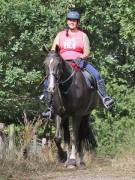 Image 126 in ANGLIAN DISTANCE RIDERS. LITTLE LODGE. 15TH SEPTEMBER 2019