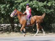 Image 129 in ANGLIAN DISTANCE RIDERS. LITTLE LODGE. 15TH SEPTEMBER 2019