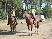 Image 39 in ANGLIAN DISTANCE RIDERS. LITTLE LODGE. 15TH SEPTEMBER 2019