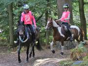 Image 40 in ANGLIAN DISTANCE RIDERS. LITTLE LODGE. 15TH SEPTEMBER 2019