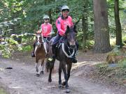 Image 41 in ANGLIAN DISTANCE RIDERS. LITTLE LODGE. 15TH SEPTEMBER 2019