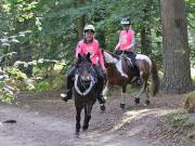 Image 44 in ANGLIAN DISTANCE RIDERS. LITTLE LODGE. 15TH SEPTEMBER 2019