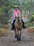 Image 45 in ANGLIAN DISTANCE RIDERS. LITTLE LODGE. 15TH SEPTEMBER 2019