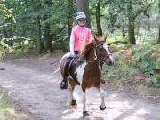 Image 47 in ANGLIAN DISTANCE RIDERS. LITTLE LODGE. 15TH SEPTEMBER 2019