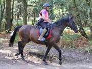 Image 48 in ANGLIAN DISTANCE RIDERS. LITTLE LODGE. 15TH SEPTEMBER 2019