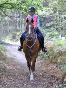 Image 50 in ANGLIAN DISTANCE RIDERS. LITTLE LODGE. 15TH SEPTEMBER 2019