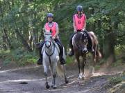 Image 53 in ANGLIAN DISTANCE RIDERS. LITTLE LODGE. 15TH SEPTEMBER 2019