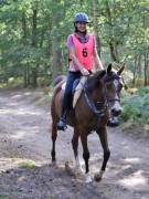 Image 55 in ANGLIAN DISTANCE RIDERS. LITTLE LODGE. 15TH SEPTEMBER 2019