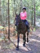 Image 56 in ANGLIAN DISTANCE RIDERS. LITTLE LODGE. 15TH SEPTEMBER 2019