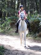 Image 62 in ANGLIAN DISTANCE RIDERS. LITTLE LODGE. 15TH SEPTEMBER 2019