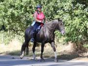 Image 64 in ANGLIAN DISTANCE RIDERS. LITTLE LODGE. 15TH SEPTEMBER 2019