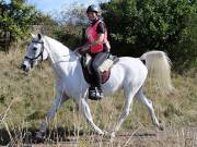 Image 71 in ANGLIAN DISTANCE RIDERS. LITTLE LODGE. 15TH SEPTEMBER 2019