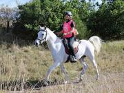 Image 74 in ANGLIAN DISTANCE RIDERS. LITTLE LODGE. 15TH SEPTEMBER 2019