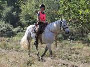 Image 76 in ANGLIAN DISTANCE RIDERS. LITTLE LODGE. 15TH SEPTEMBER 2019