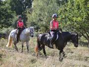 Image 77 in ANGLIAN DISTANCE RIDERS. LITTLE LODGE. 15TH SEPTEMBER 2019