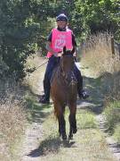 Image 79 in ANGLIAN DISTANCE RIDERS. LITTLE LODGE. 15TH SEPTEMBER 2019