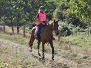 Image 81 in ANGLIAN DISTANCE RIDERS. LITTLE LODGE. 15TH SEPTEMBER 2019