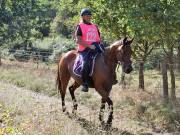 Image 82 in ANGLIAN DISTANCE RIDERS. LITTLE LODGE. 15TH SEPTEMBER 2019