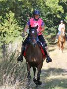 Image 86 in ANGLIAN DISTANCE RIDERS. LITTLE LODGE. 15TH SEPTEMBER 2019