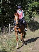 Image 88 in ANGLIAN DISTANCE RIDERS. LITTLE LODGE. 15TH SEPTEMBER 2019