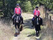 Image 90 in ANGLIAN DISTANCE RIDERS. LITTLE LODGE. 15TH SEPTEMBER 2019
